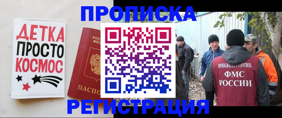 прописка поиск в Тайшете